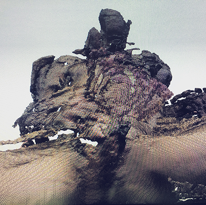 Interrupted 3D scan by artist Paul Coombs